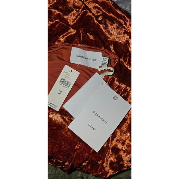 New Anthropologie Significant Other Long-Sleeve Cutout Velvet Midi Dress SZ 10 - Picture 6 of 6